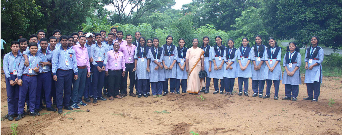 Plantation Drive